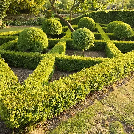 度假居 High Hall *